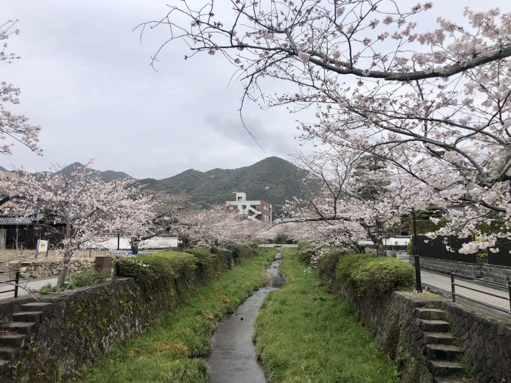 一の坂川県庁側